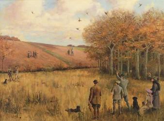 Pheasant Shooting